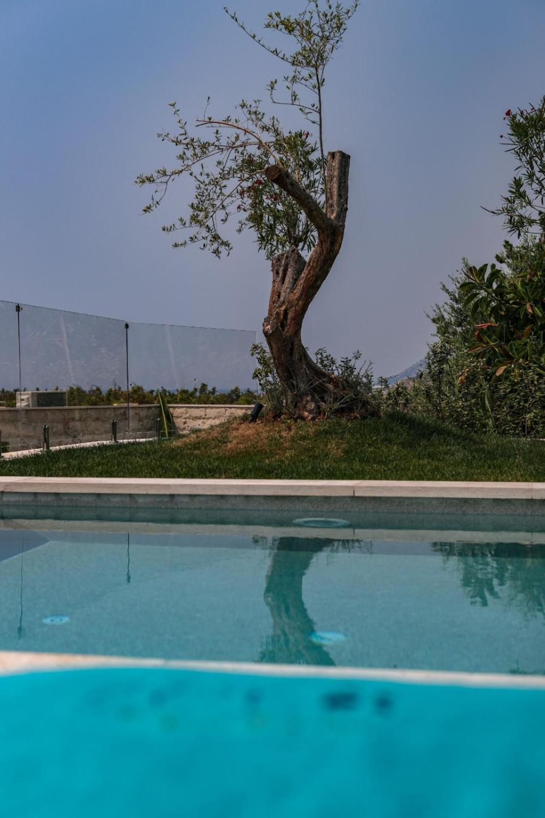 Drymades Inn Resort Dhërmi Εξωτερικό φωτογραφία